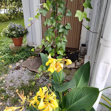 Narvan Helenan Kanat Ja Kammarit *