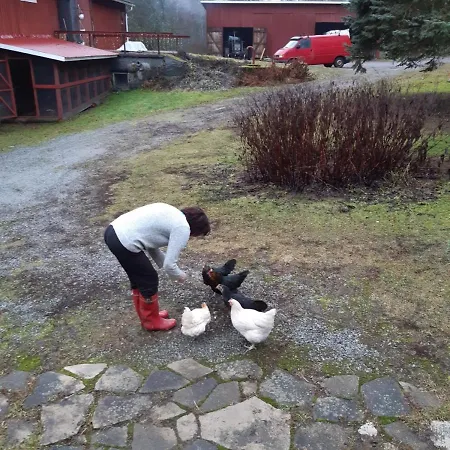 Narvan Helenan Kanat Ja Kammarit Vakantieboerderij