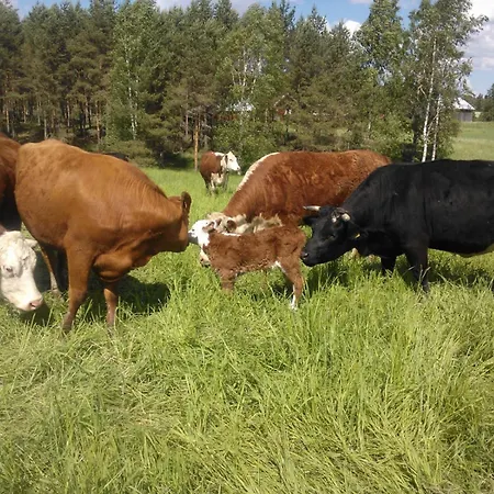Vakantieboerderij Narvan Helenan Kanat Ja Kammarit
