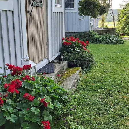 Narvan Helenan Kanat Ja Kammarit Vesilahti