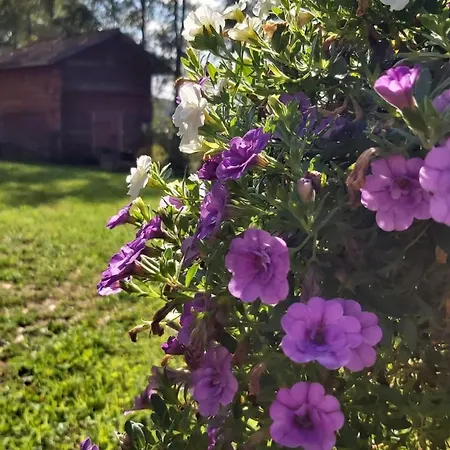Vakantieboerderij Narvan Helenan Kanat Ja Kammarit