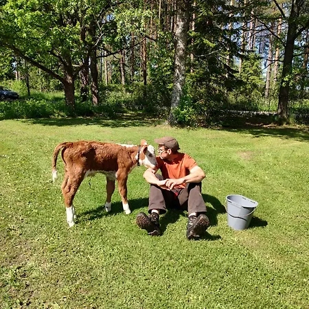 Narvan Helenan Kanat Ja Kammarit * Vesilahti