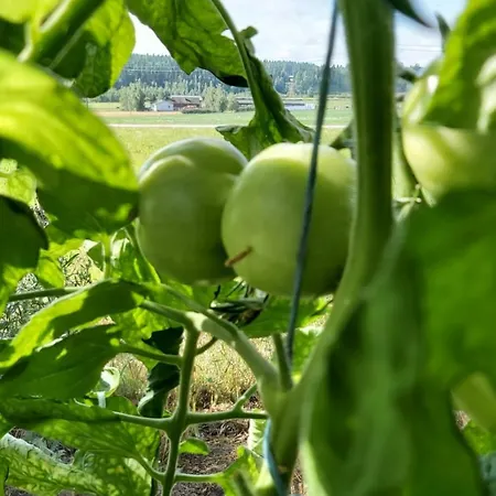 Narvan Helenan Kanat Ja Kammarit * Vesilahti