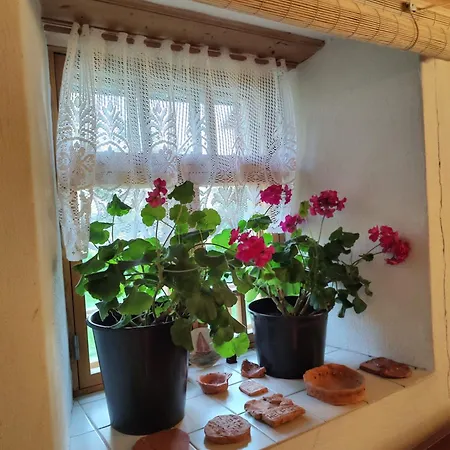 Narvan Helenan Kanat Ja Kammarit Vakantieboerderij *